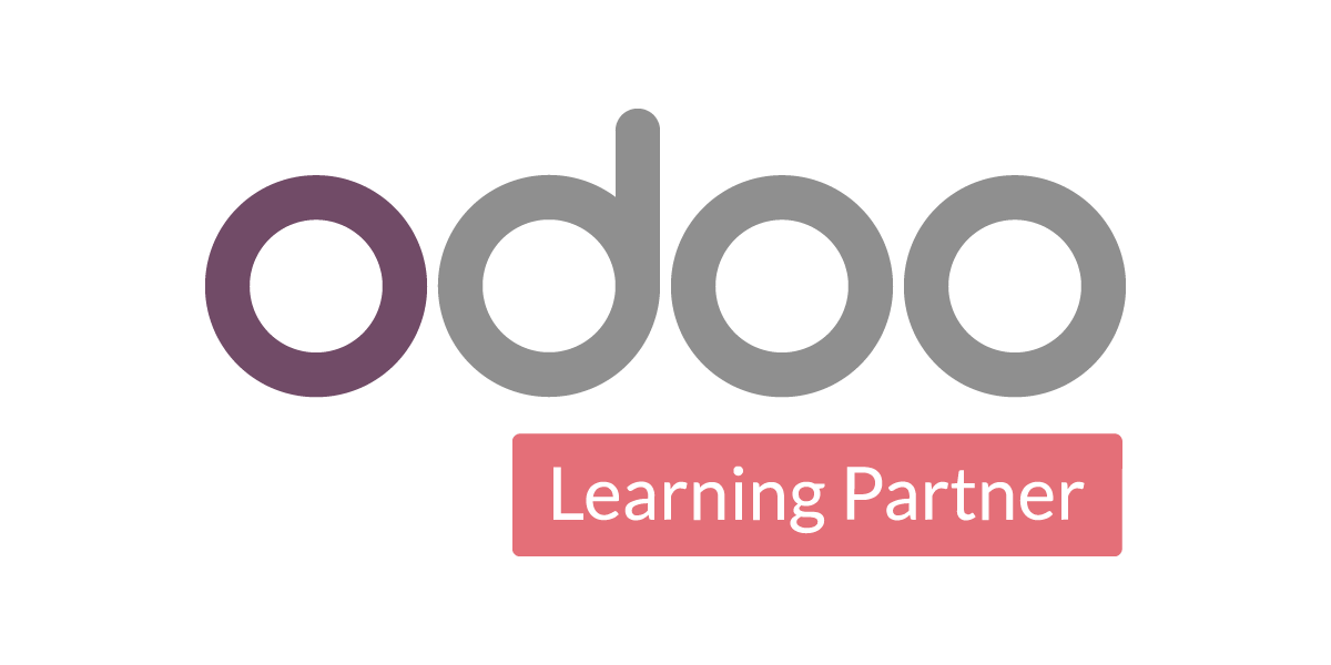 Odoo partner